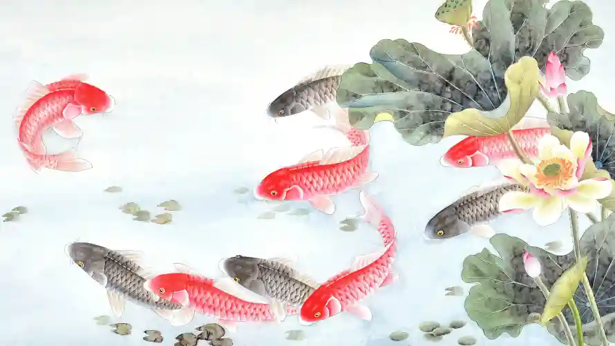 最喜欢的图像