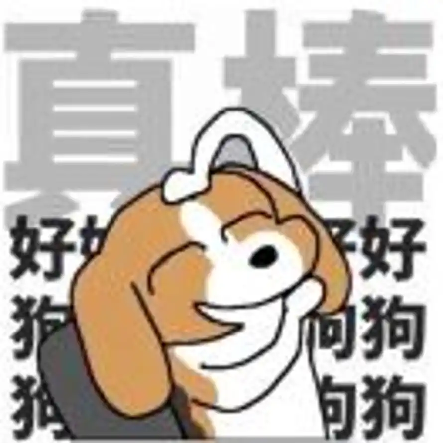张洛瑜🐳的头像