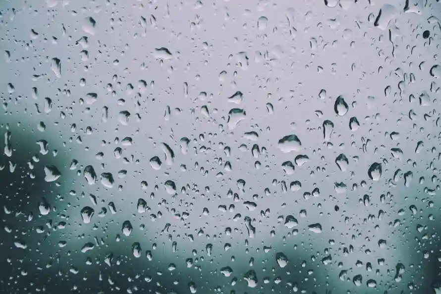 4k下雨壁纸 - 雨 - 清新 - 雨幕「哲风壁纸」