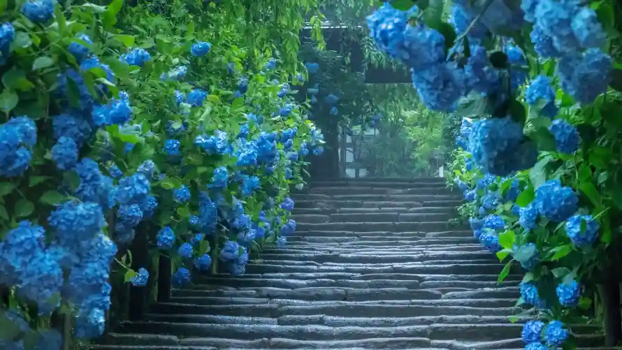 7kAI壁纸-二次元和木径-AI生成免费下载「哲风壁纸」