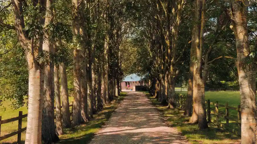 4k自然壁纸-木栅栏和风景-乡村风景免费下载「哲风壁纸」