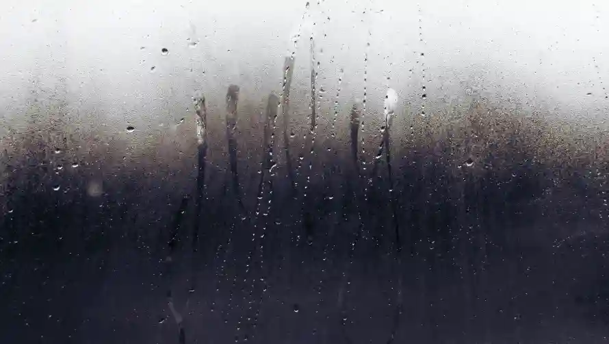 2k窗景壁纸-窗玻璃与雨-窗玻璃背景热门的壁纸「哲风壁纸」
