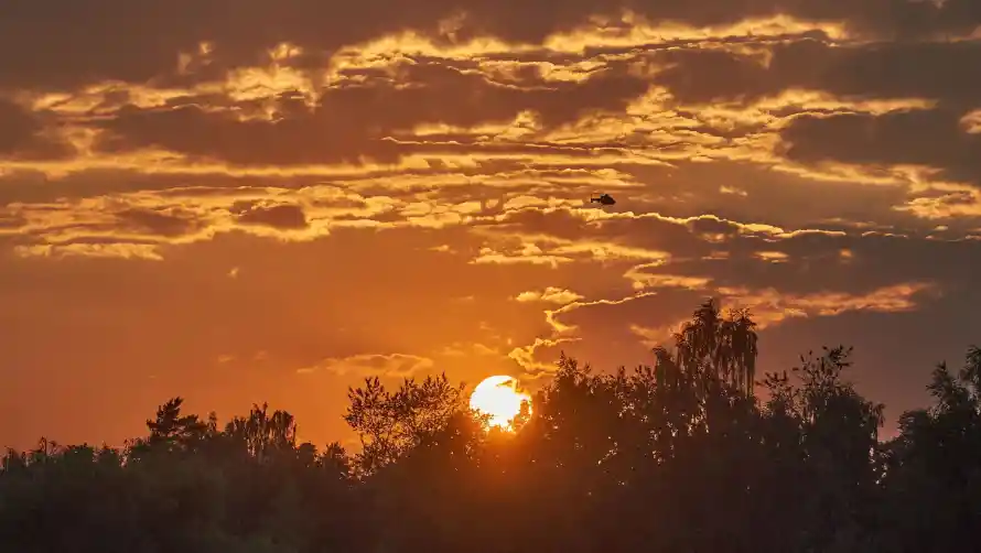 4k夕阳壁纸 - 日落 - 晚霞 - 树林「哲风壁纸」 4k夕阳壁纸 - 日落 - 晚霞 - 树林「哲风壁纸」