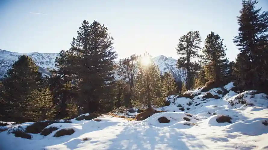 4k冬季壁纸-冬季景观壁纸和雪景-冬季雪景壁纸分享「哲风壁纸」