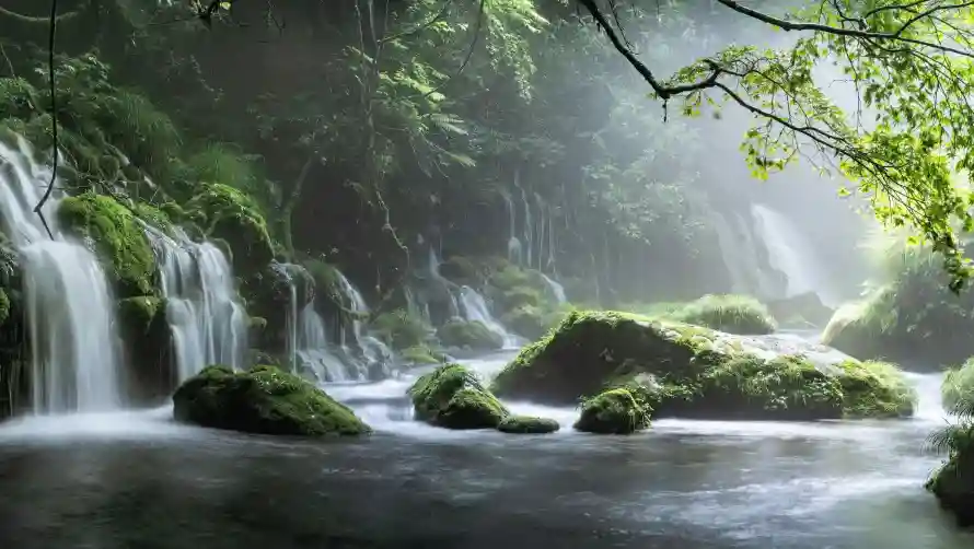 4k自然壁纸 - 风景 - 岩石溪流 - 森林瀑布「哲风壁纸」