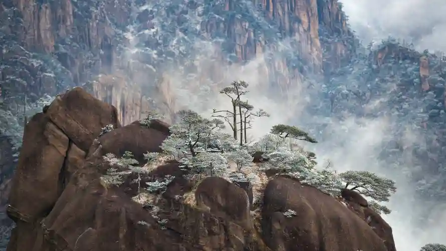 4k自然壁纸-迎客松 - 风景-云雾山峰壁纸推荐「哲风壁纸」