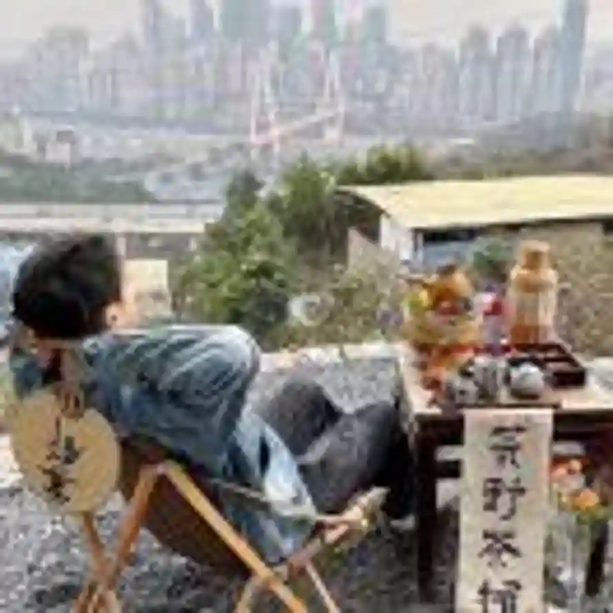 鲸落的头像
