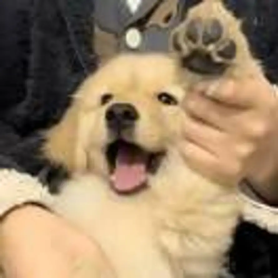 ^-^的头像