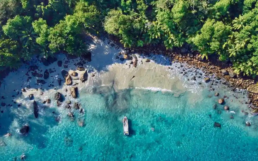 4k俯瞰壁纸-海岸绿植壁纸和海滩-海景风光热门的壁纸「哲风壁纸」