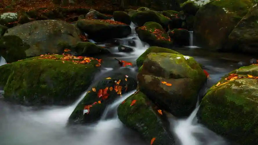 4k自然壁纸-流水风景和风景-溪流岩石热门的壁纸「哲风壁纸」
