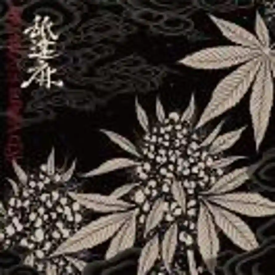 IKIRO的头像