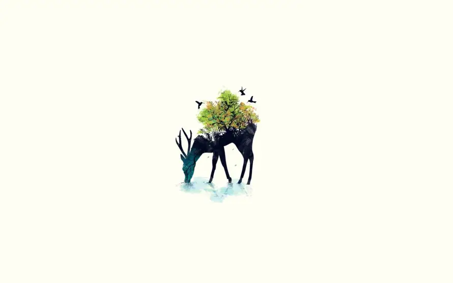 2k创意壁纸-艺术插画和自然-壁纸推荐「哲风壁纸」