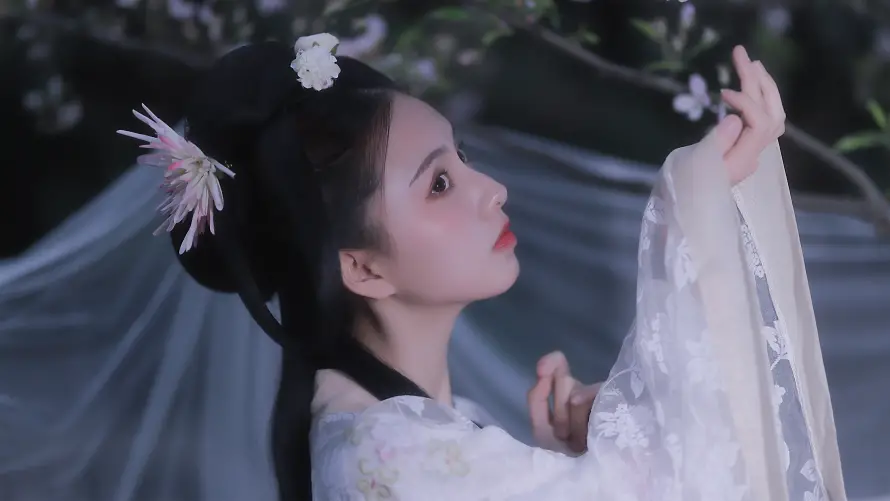 4k发饰壁纸-东方美学与古风-古典美人热门的壁纸「哲风壁纸」