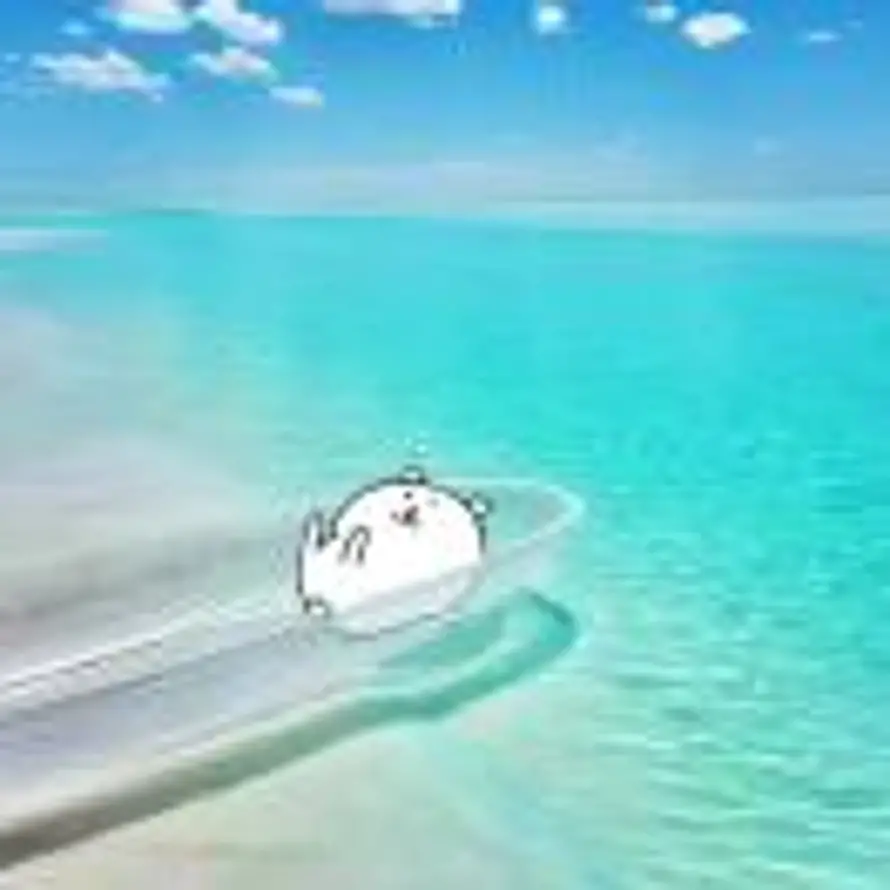 zwz的头像