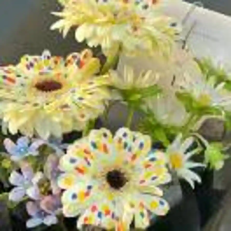 flower的头像