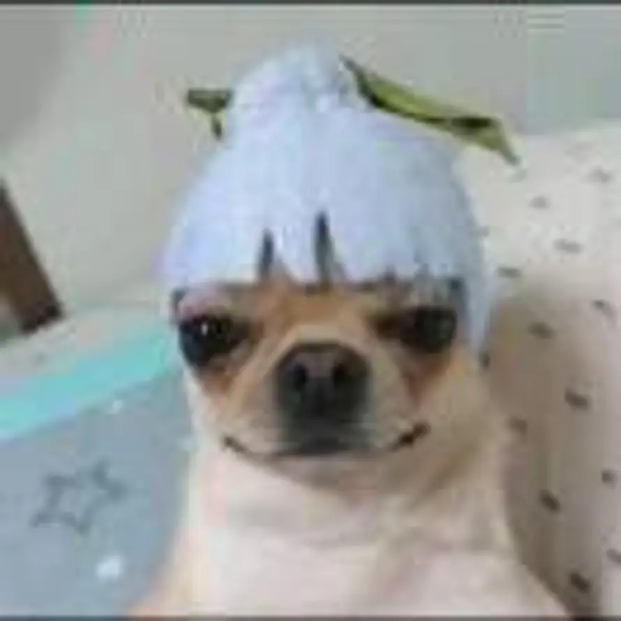 .的头像