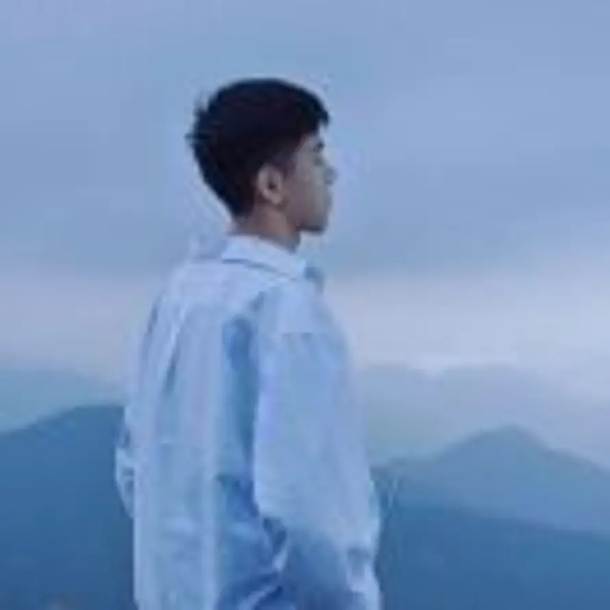 Z的头像