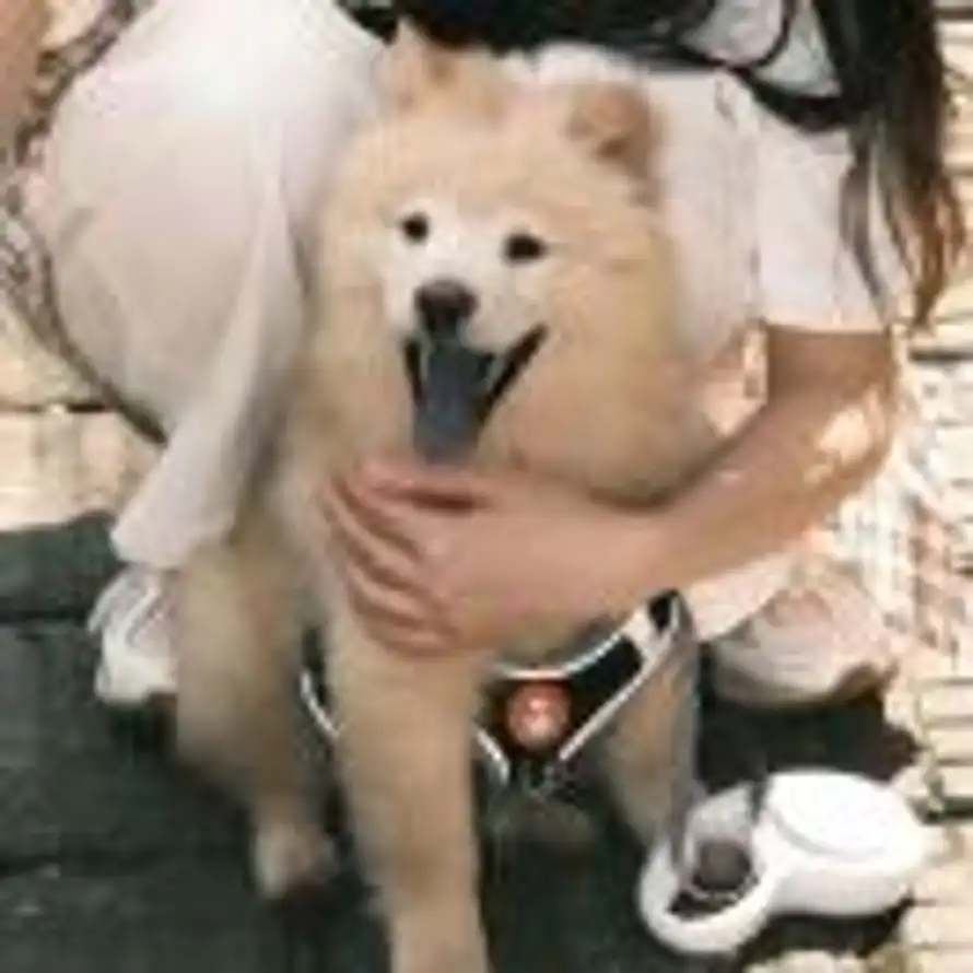.的头像