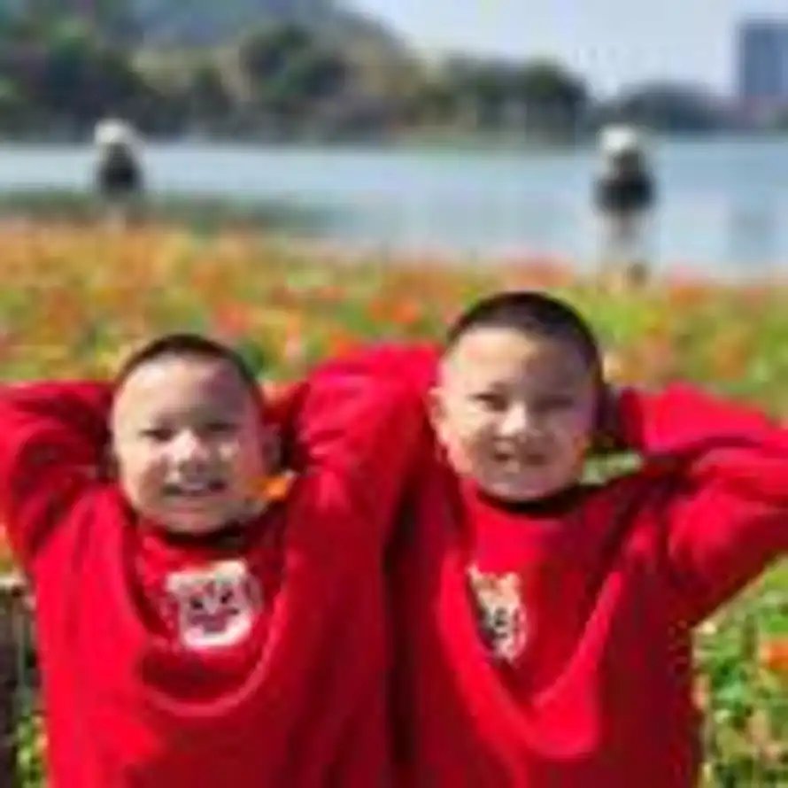 付涛BooYii的头像