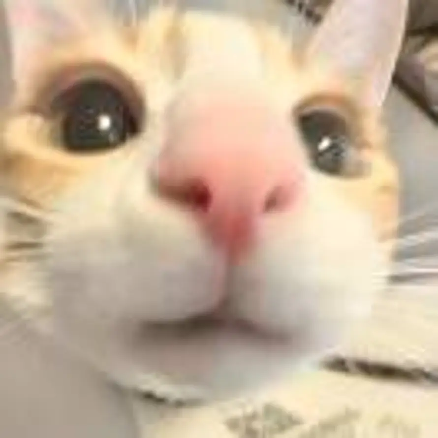 不眠的头像