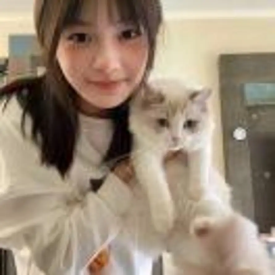 赖赖的头像