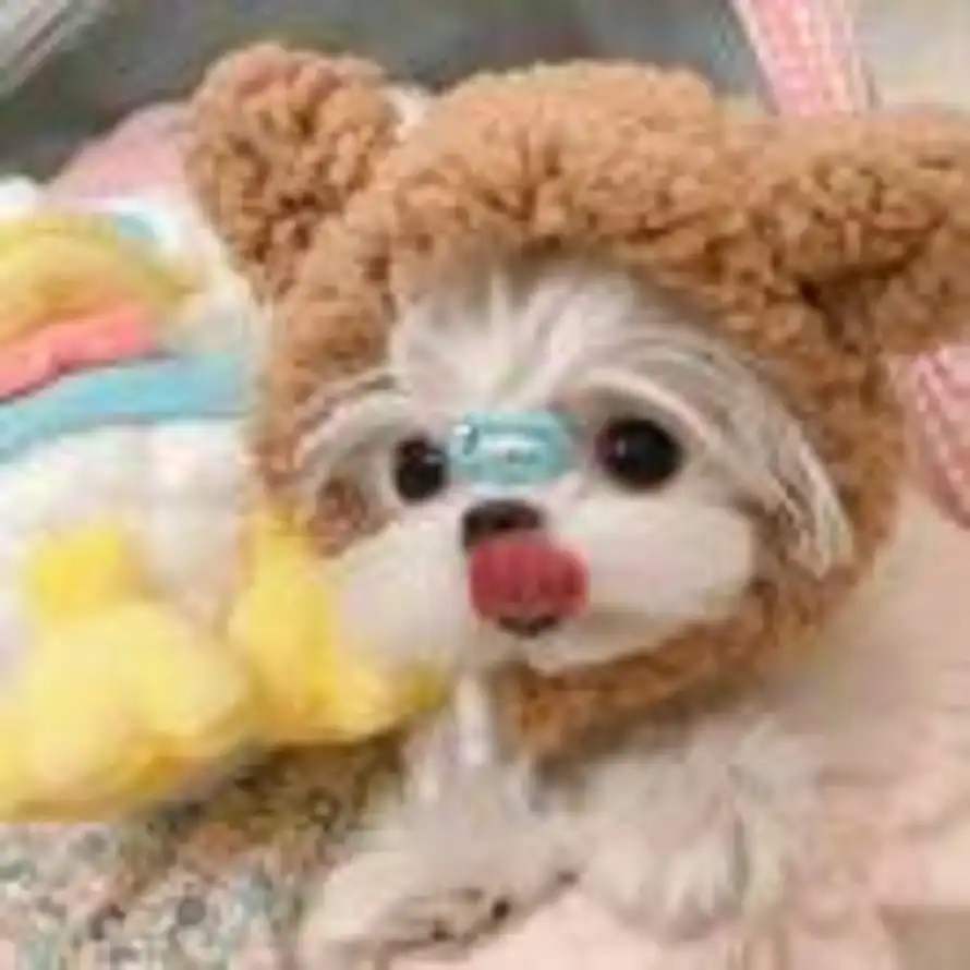💖的头像