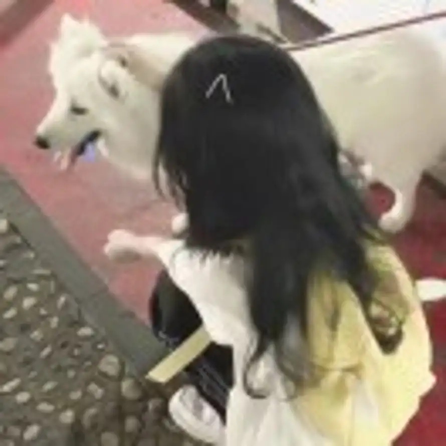 小澄的头像