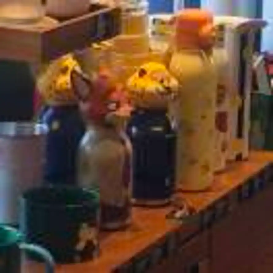 Coffeer的头像