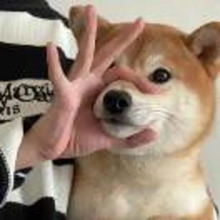 久念的头像