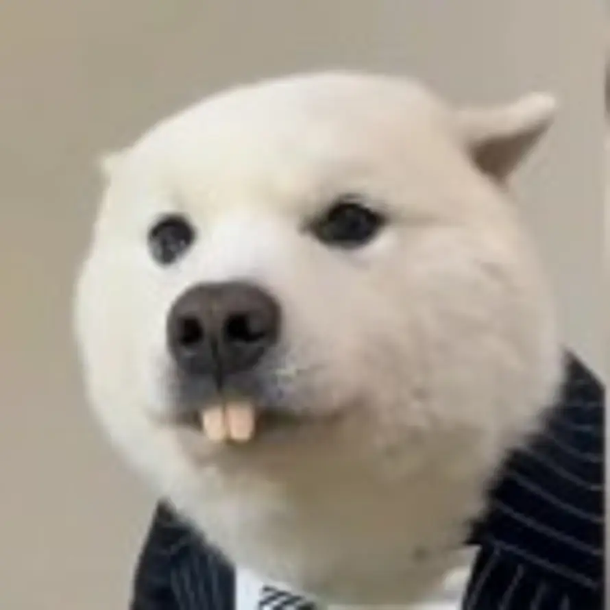 yworyl的头像