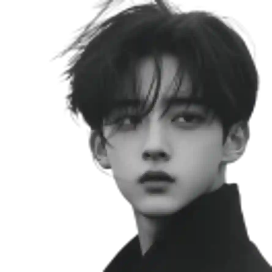 king的头像