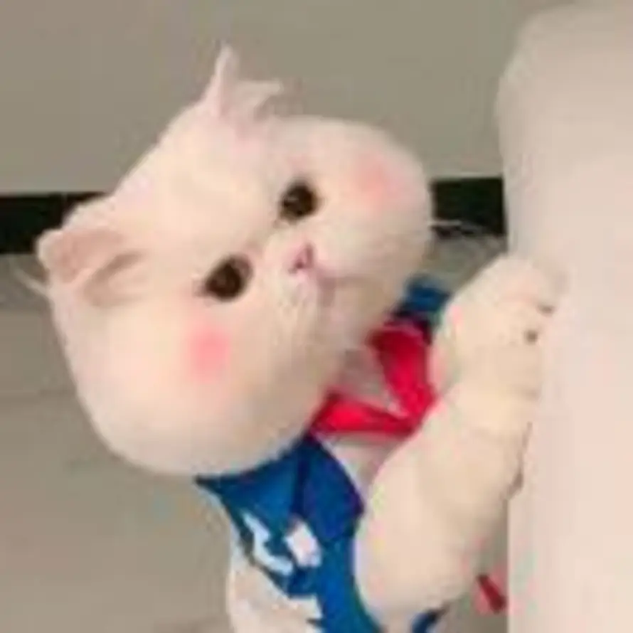 尘的头像
