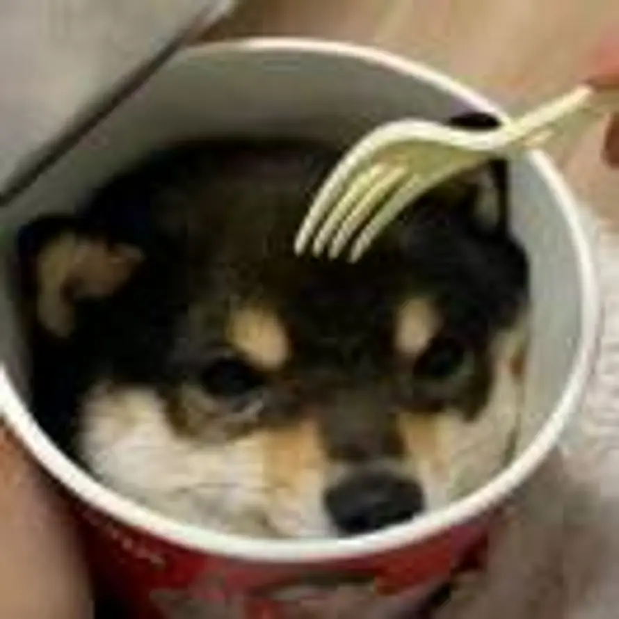 倒带的头像