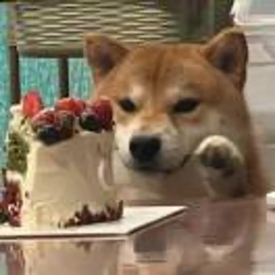 3un_o的头像