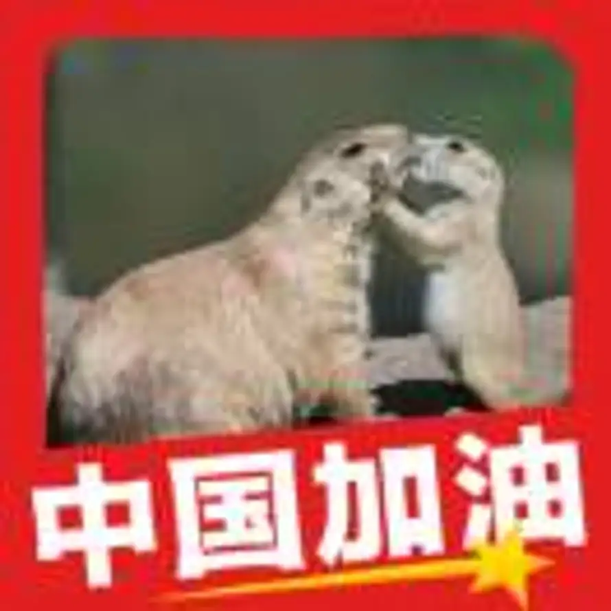 Feel的头像