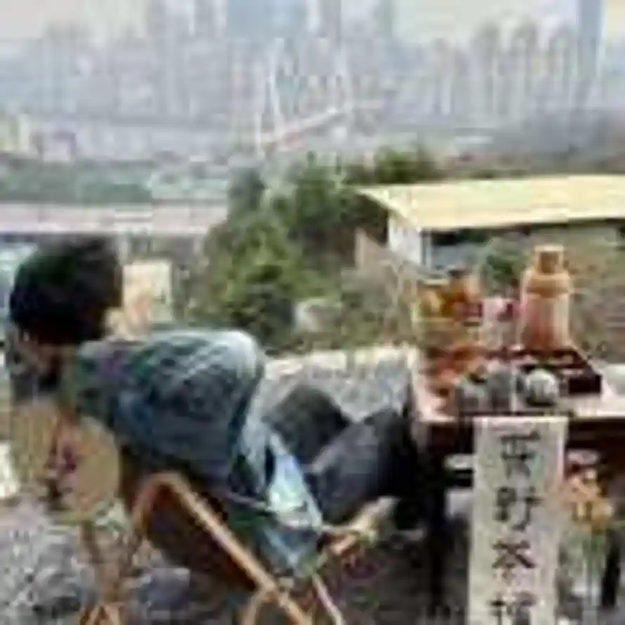 策策枕星河的头像