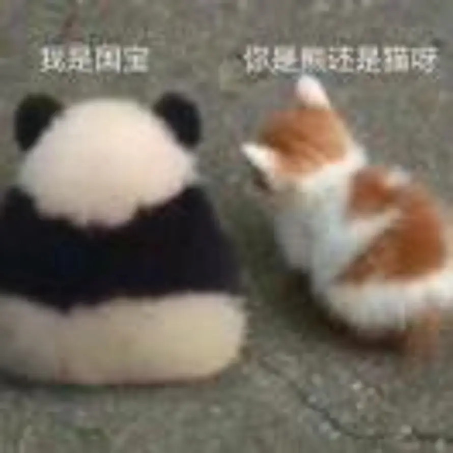 左屿的头像