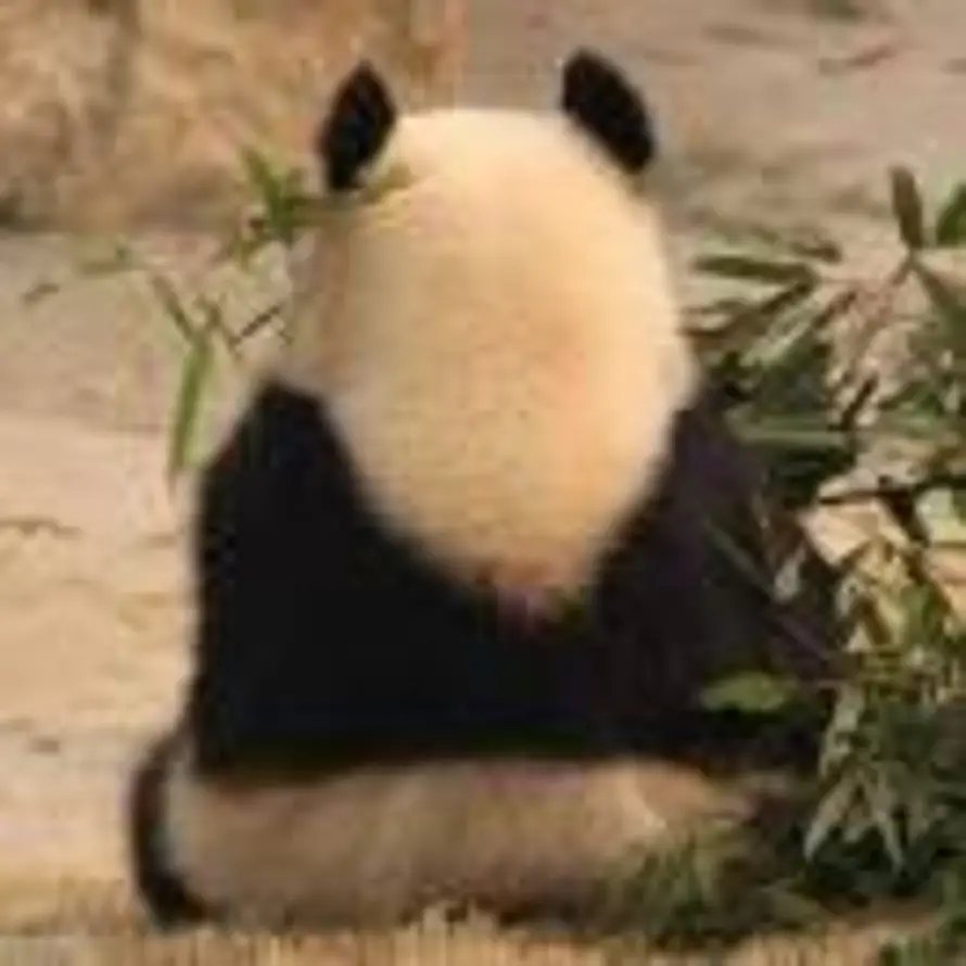何的头像