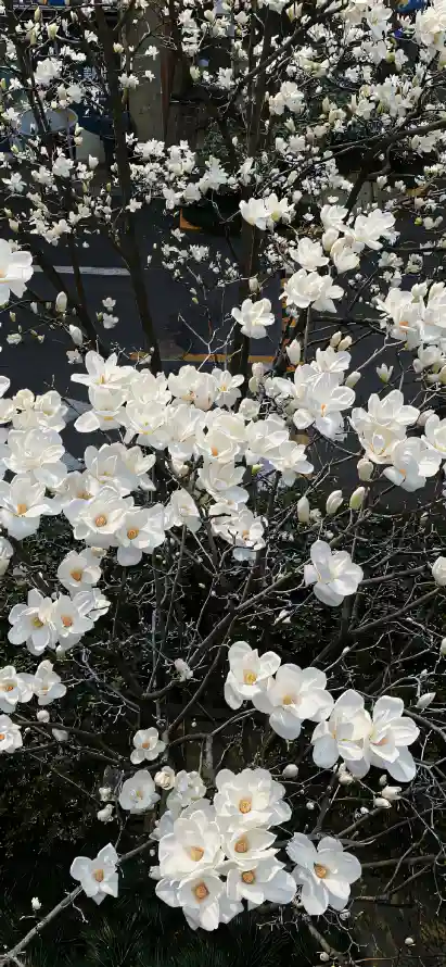 主题背景图片