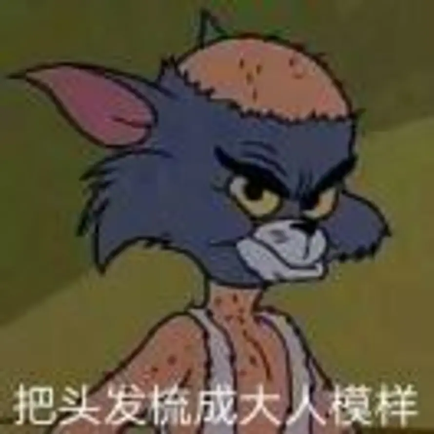 年華似繁華的头像