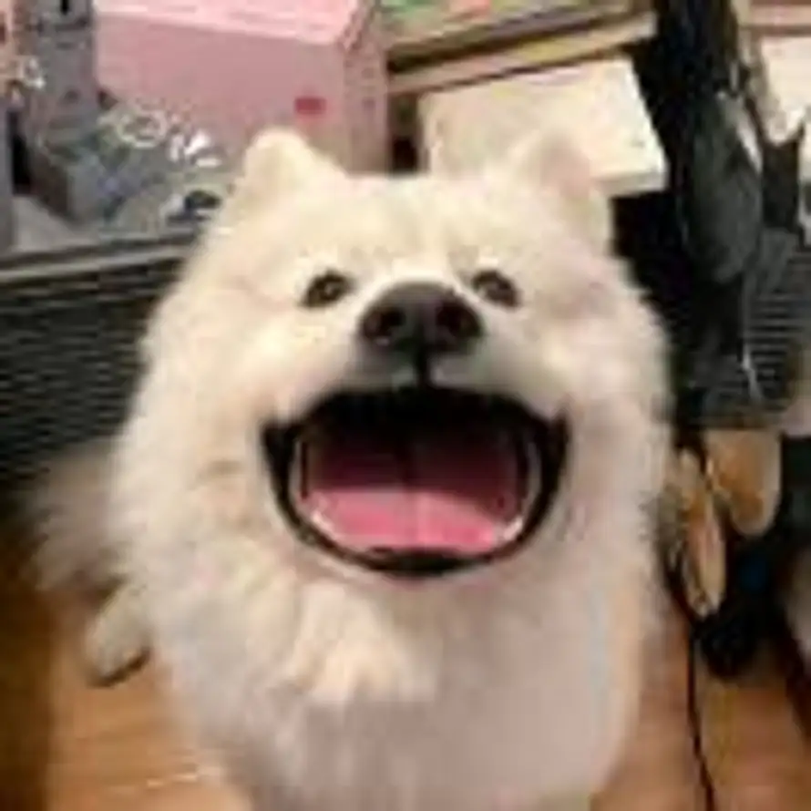 G_的头像
