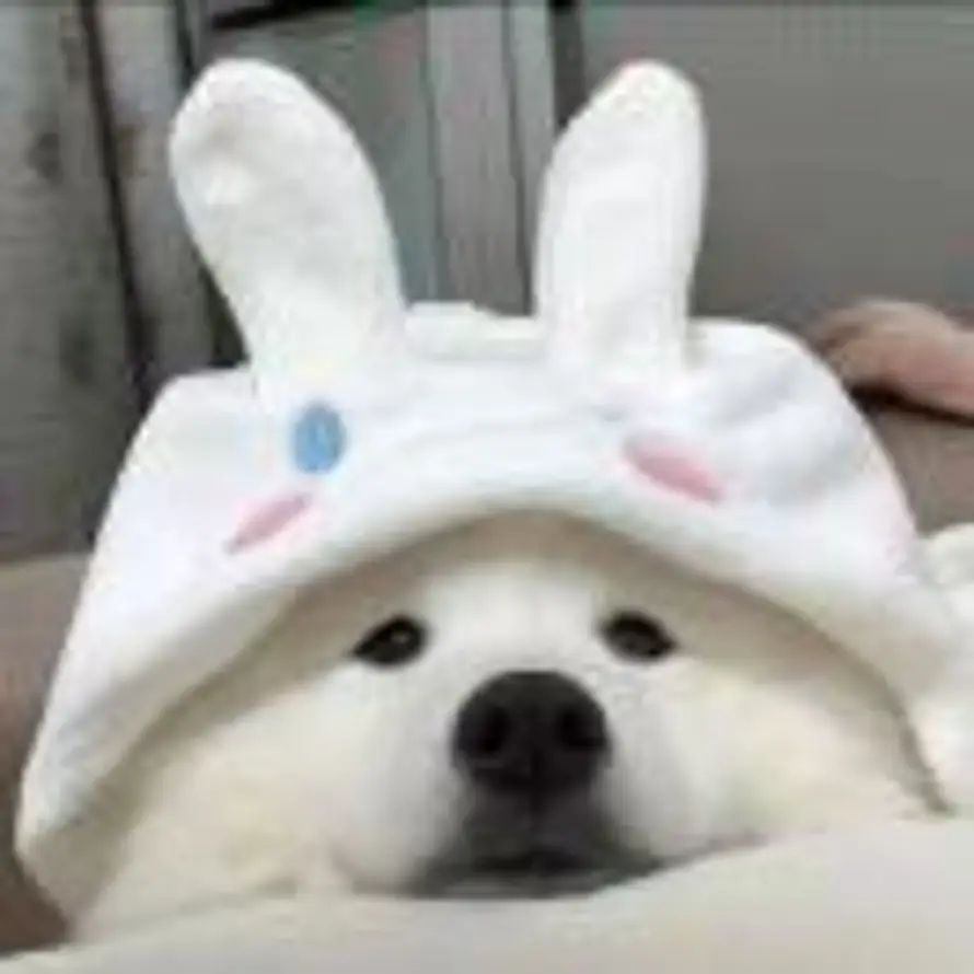 Shyne的头像