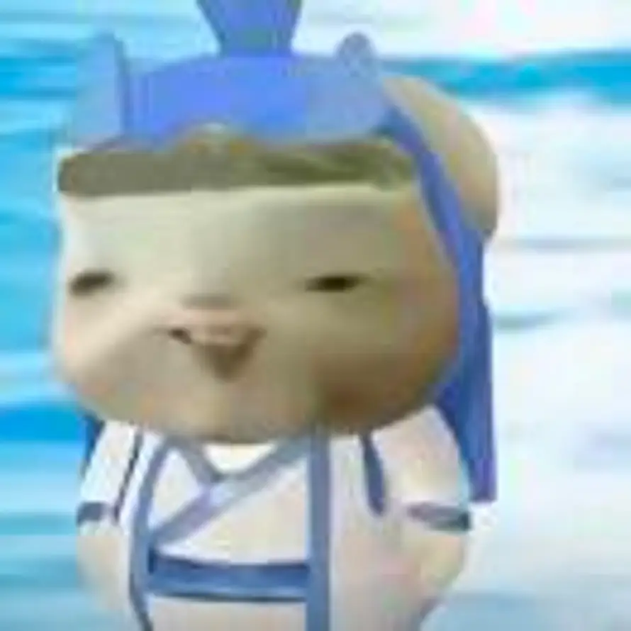 🌰的头像