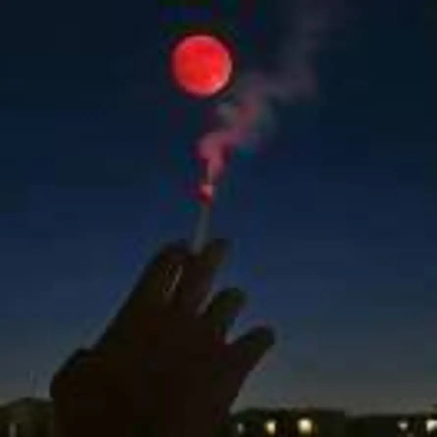 枫的头像