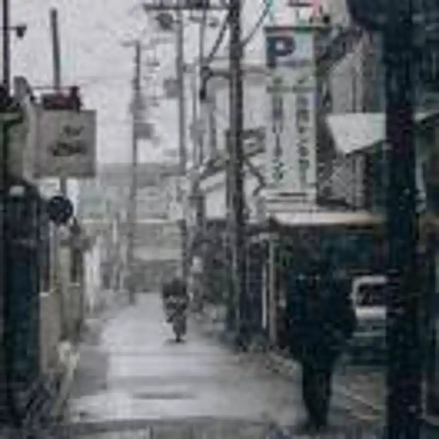 ntonia.的头像