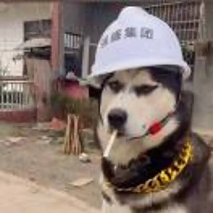 李的头像