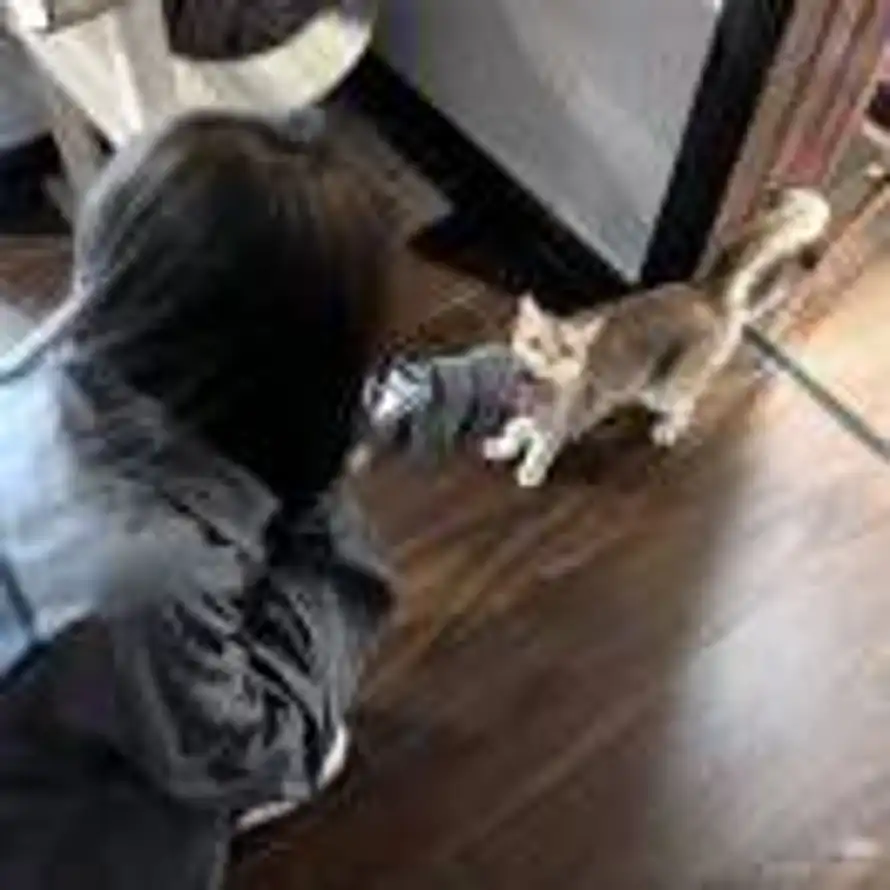 Iqrt的头像