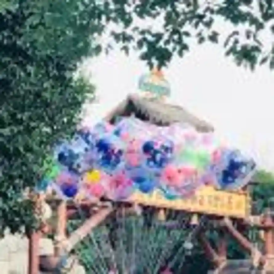 柒七的头像