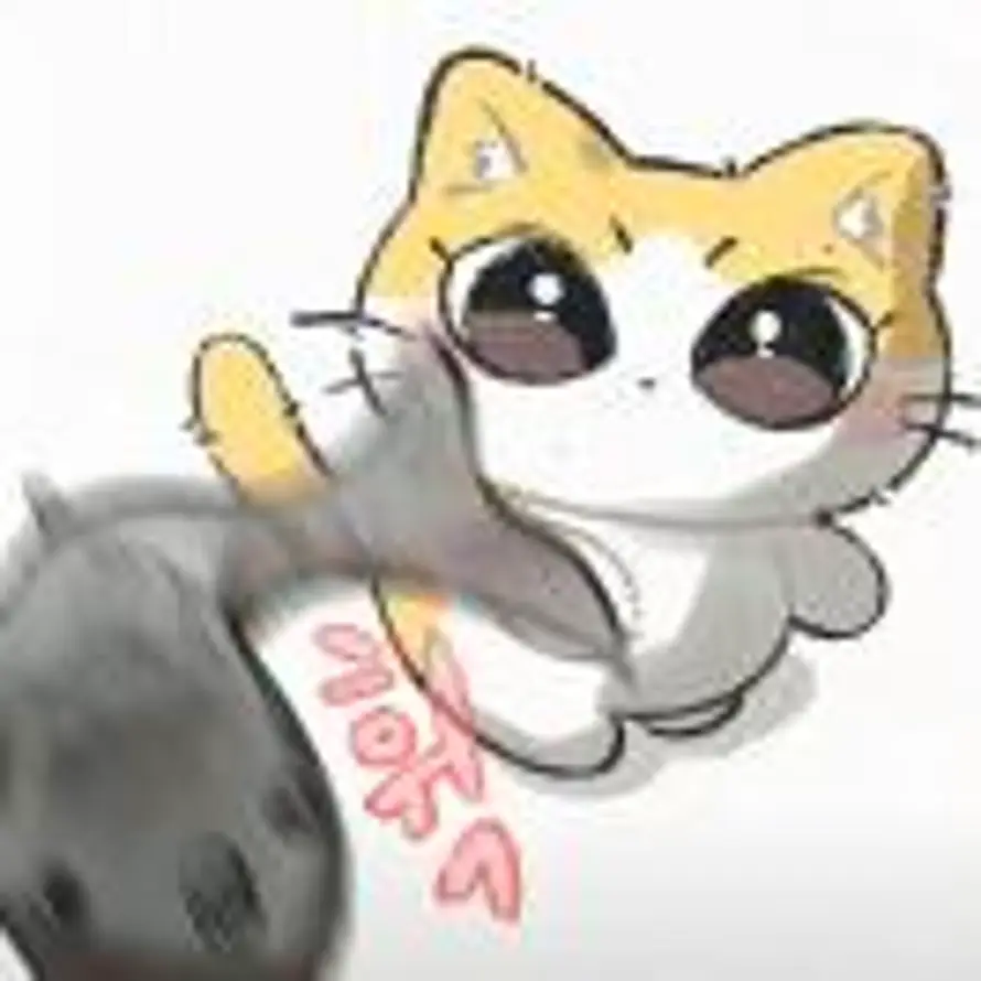 RiCe的头像
