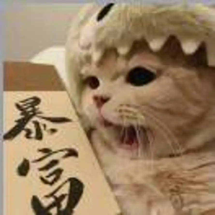 慢热的头像